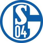 Σάλκε logo