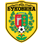 Μπουκοβίνα logo