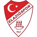 Ελάτζιγκσπορ Ελάτζιγκσπορ logo