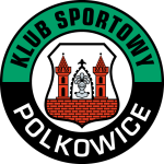 Πολκόβιτσε logo