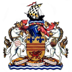 Μπάρι Τάουν logo